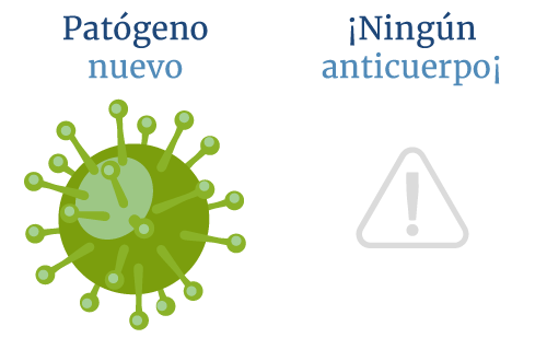 Cada uno de los anticuerpos que tiene el sistema inmune est� entrenado para reconocer un ant�geno espec�fico