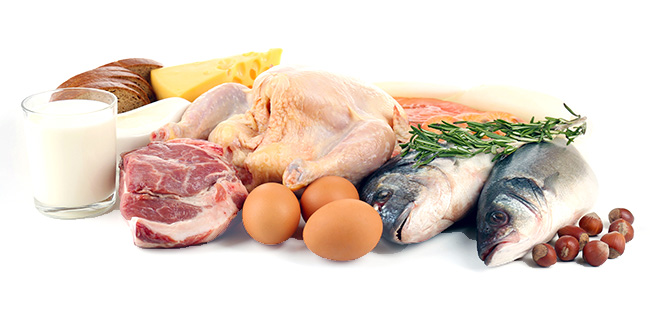 Alimentos del grupo de las prote&iacute;nas.