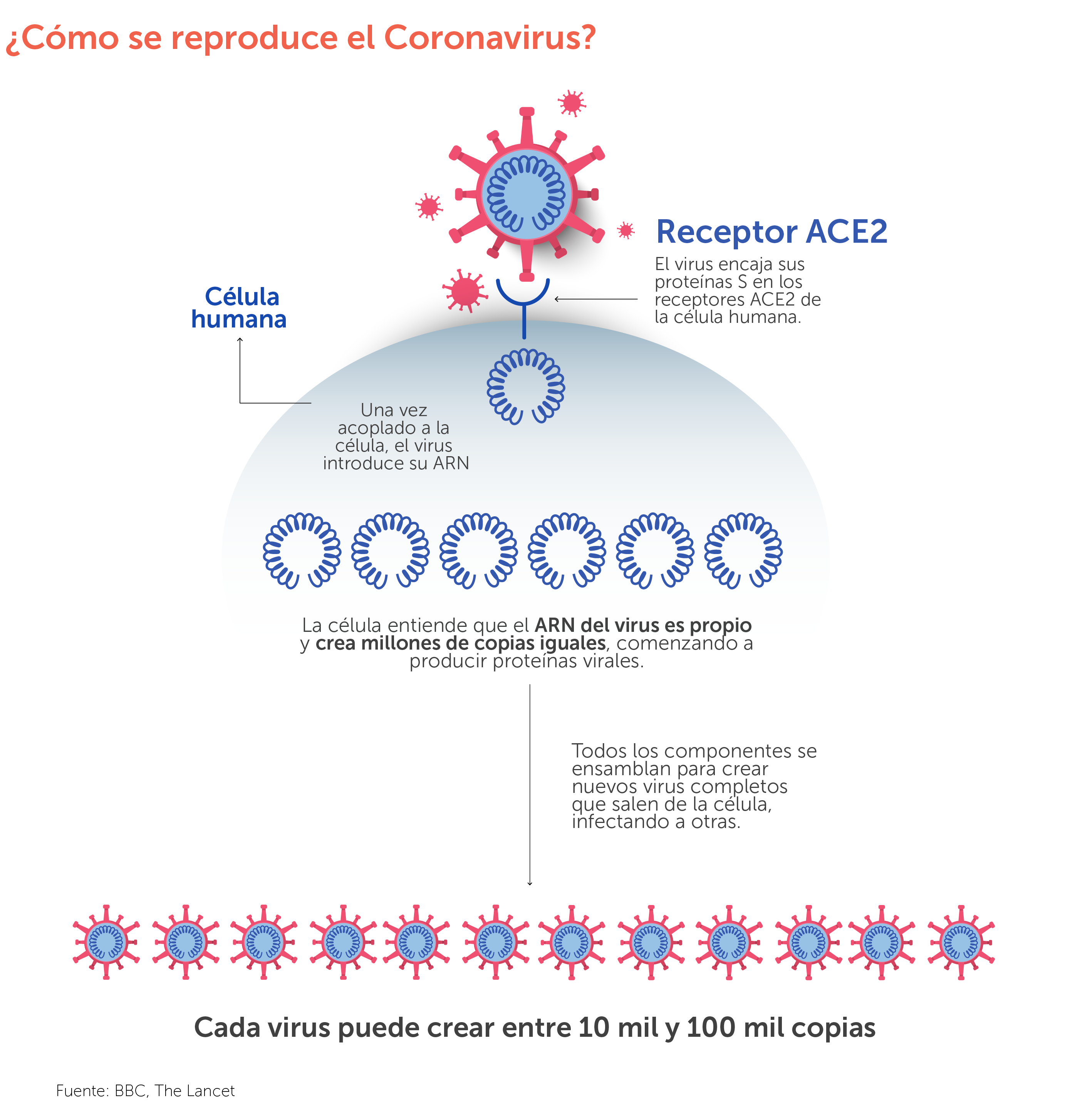 ¿Qué es el coronavirus?